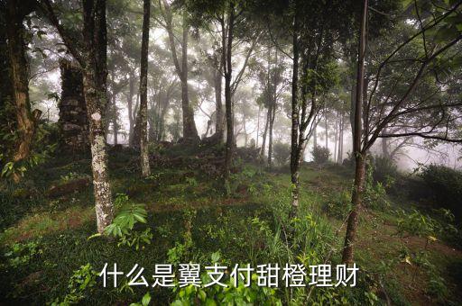 電信跟什么理財(cái)合作，什么是添益寶