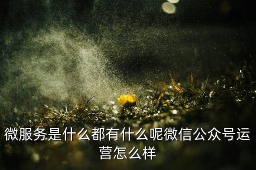 微服務(wù)是什么都有什么呢微信公眾號運(yùn)營怎么樣