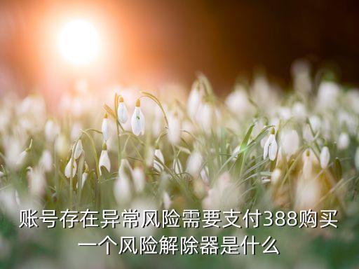 賬號(hào)存在異常風(fēng)險(xiǎn)需要支付388購(gòu)買(mǎi)一個(gè)風(fēng)險(xiǎn)解除器是什么