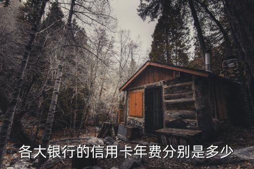 各大銀行的信用卡年費(fèi)分別是多少