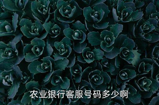 松原農(nóng)業(yè)銀行中行電話是多少，中國(guó)農(nóng)業(yè)銀行電話是多少