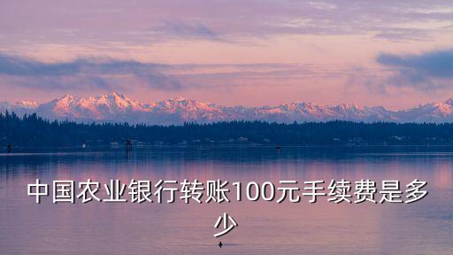 中國農(nóng)業(yè)銀行轉(zhuǎn)賬100元手續(xù)費(fèi)是多少
