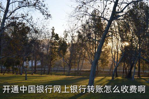開通中國銀行網(wǎng)上銀行轉(zhuǎn)賬怎么收費啊