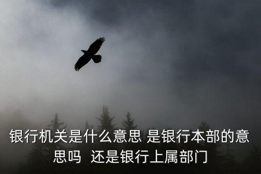 銀行機關是什么意思 是銀行本部的意思嗎  還是銀行上屬部門