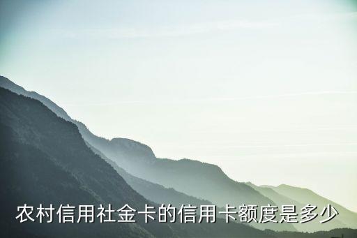 信用社信用卡額度多少，農(nóng)村信用社金卡的信用卡額度是多少
