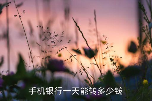 手機銀行一天能轉(zhuǎn)多少錢