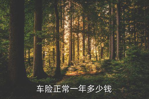 各種車險多少錢，車險買什么一般多少錢