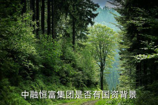 中融恒富集團是否有國資背景