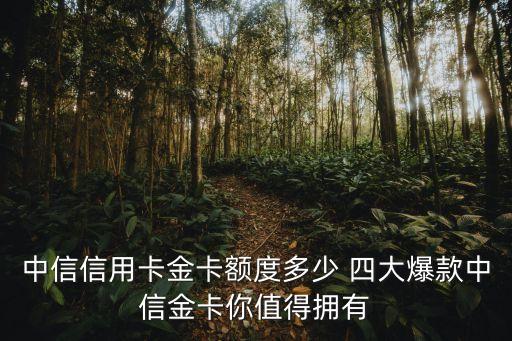 中信信用卡金卡額度多少 四大爆款中信金卡你值得擁有