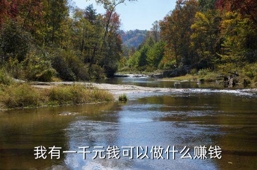 我有一千元錢可以做什么賺錢