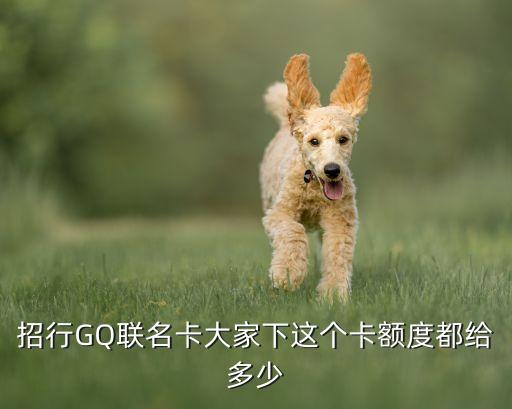 招行GQ聯(lián)名卡大家下這個卡額度都給多少