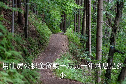 用住房公積金貸款一萬(wàn)元一年利息是多少