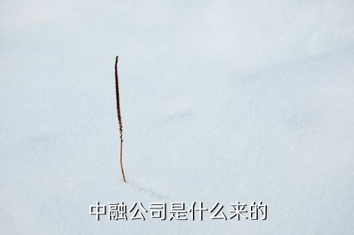 中融公司是什么來的