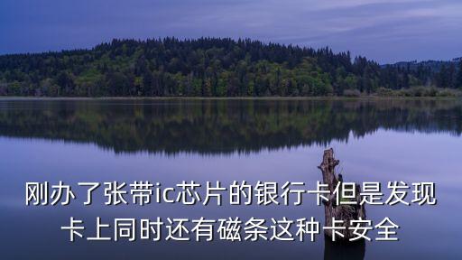 磁條二卡加辦什么意思，用磁條卡上銀行升級(jí)芯片卡加辦金卡然后到底是以前的老卡是一類卡