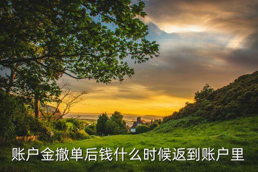 賬戶金撤單后錢什么時(shí)候返到賬戶里