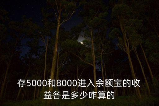 存5000和8000進(jìn)入余額寶的收益各是多少咋算的