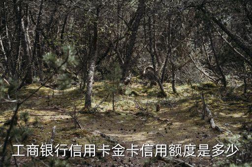 家樂福工行信用卡金卡額度是多少錢，工商銀行信用卡金卡信用額度是多少