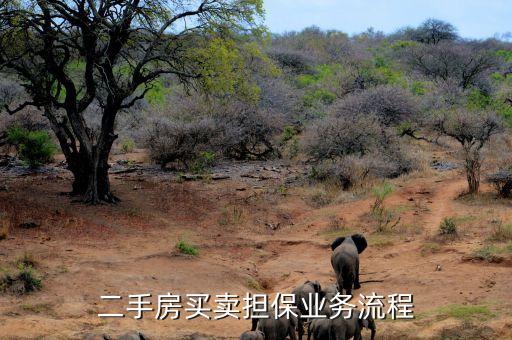 二手房買賣擔保業(yè)務(wù)流程