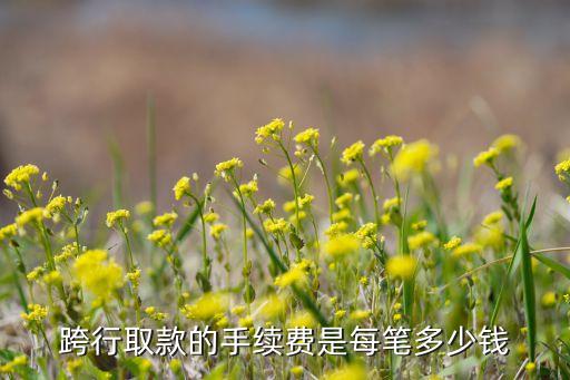 夸跨行取款手續(xù)費多少錢，跨行取錢需要收取多少手續(xù)費