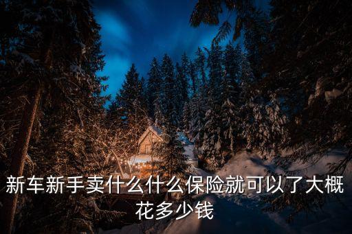 新車新手賣什么什么保險(xiǎn)就可以了大概花多少錢
