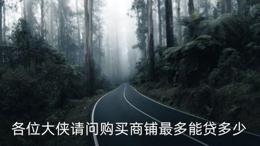各位大俠請問購買商鋪?zhàn)疃嗄苜J多少