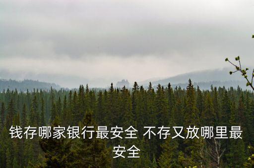 錢多存什么銀行不會(huì)泄露，老百姓的錢來的不易請(qǐng)問存哪家銀行最安全