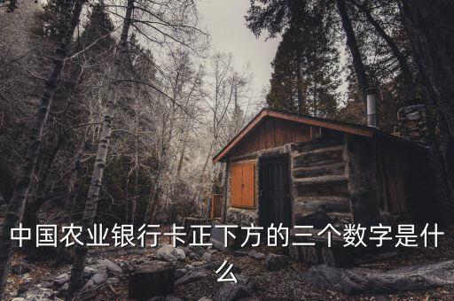 中國(guó)農(nóng)業(yè)銀行卡正下方的三個(gè)數(shù)字是什么