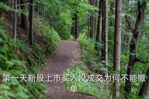 新股為什么不能撤單，第一天新股上市買(mǎi)入沒(méi)成交為何不能撤單