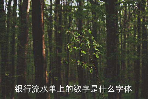 銀行流水單上的數(shù)字是什么字體