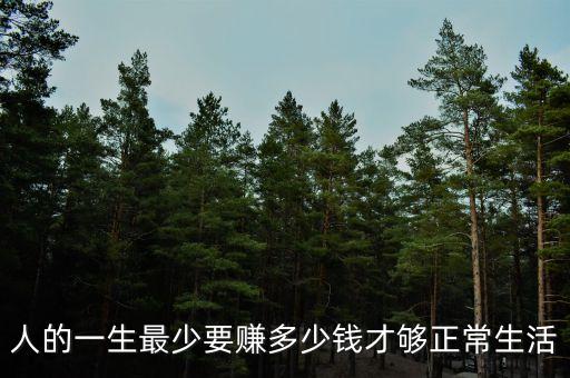 人的一生最少要賺多少錢(qián)才夠正常生活
