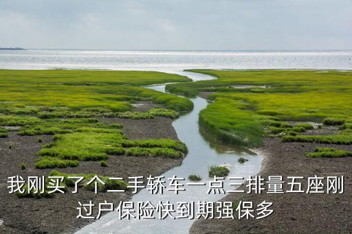 二手車搶險(xiǎn)多少錢，09年的愛麗舍二手車第一次買強(qiáng)險(xiǎn)和第三者共花多少錢啊