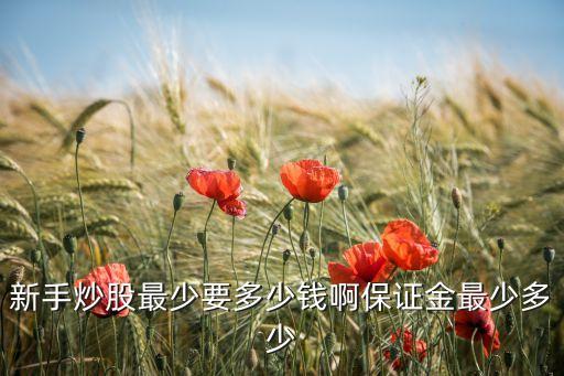 新手炒股最少要多少錢啊保證金最少多少