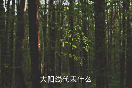 大陽(yáng)線代表什么