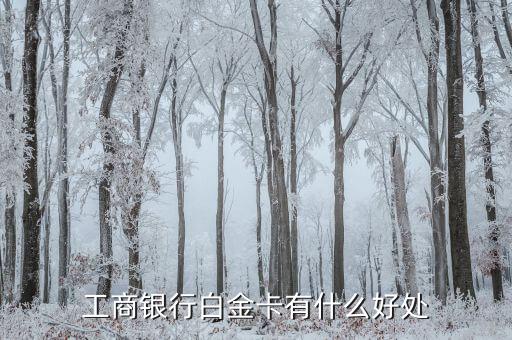 工商銀行白金卡有什么好處