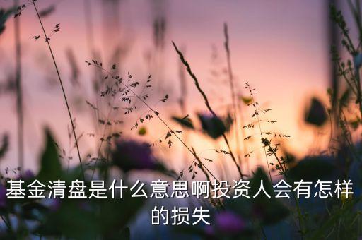 基金清倉(cāng)什么意思，基金清倉(cāng)怎么回事