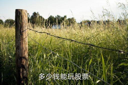 多少錢能玩股票