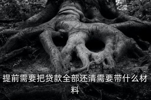 還款需要注意什么手續(xù)，提前需要把貸款全部還清需要帶什么材料