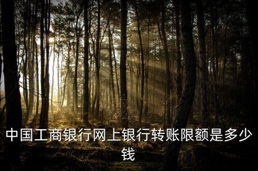 中國工商銀行網(wǎng)上銀行轉(zhuǎn)賬限額是多少錢