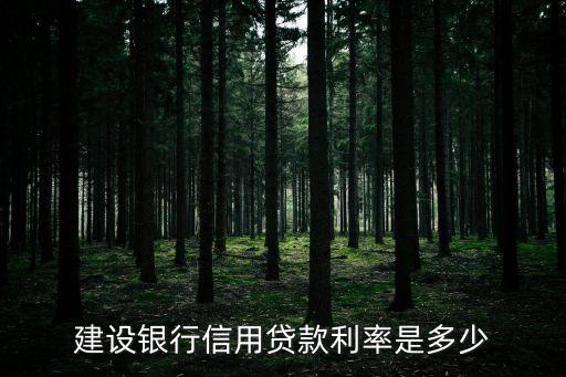 信用卡貸利率是多少錢，信用卡借一萬一個月還利息多少