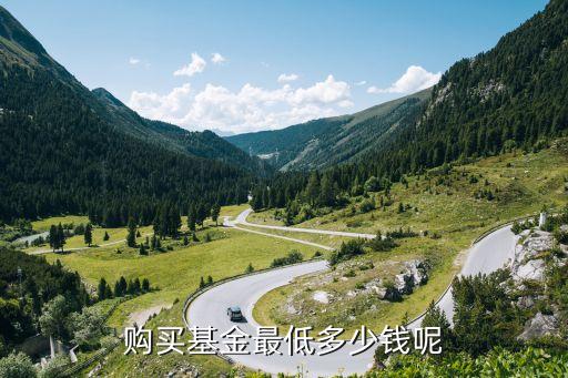 基金一般多少錢起買，買基金最少要多少錢
