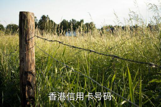 香港信用卡 幾位數(shù)字是多少錢，信用卡是幾位數(shù)