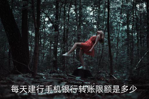 每天建行手機(jī)銀行轉(zhuǎn)賬限額是多少