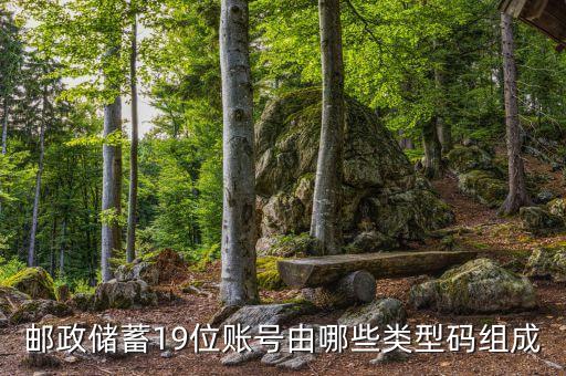 郵政儲(chǔ)蓄19位賬號(hào)由哪些類型碼組成