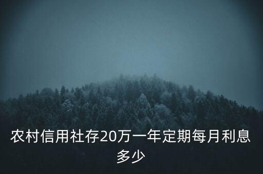 農(nóng)村信用社存20萬(wàn)一年定期每月利息多少