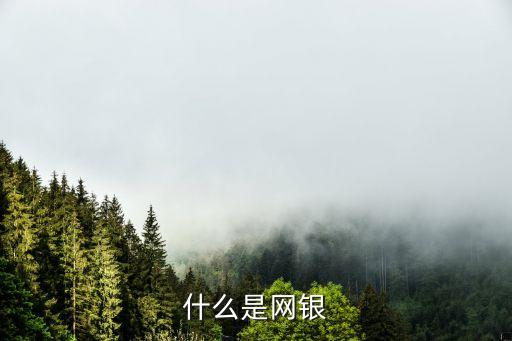 什么是網(wǎng)銀