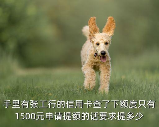 手里有張工行的信用卡查了下額度只有1500元申請(qǐng)?zhí)犷~的話要求提多少