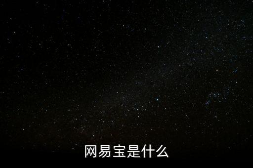 網(wǎng)易寶是什么
