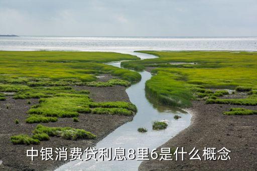 中銀消費(fèi) 利貸多少，中銀消費(fèi)金融貸款五千按周還款日息千分之三是否合法貸款五千