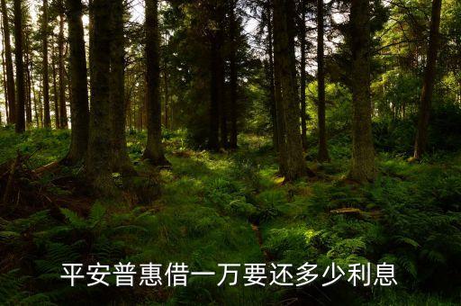 平安普惠借一萬要還多少利息