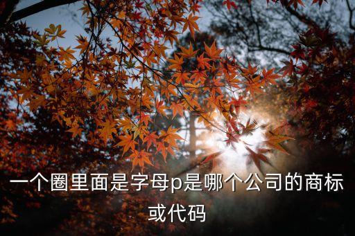 一個圈里面是字母p是哪個公司的商標或代碼
